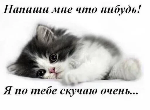 Стикеры👉 @stikeru7777 - 