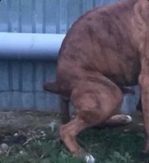 Стикер Фашисти - 10