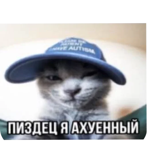 Стикер AaYEbbj_by_achestickbot - 1