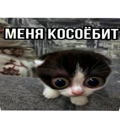 Стикер AaYEbbj_by_achestickbot - 1