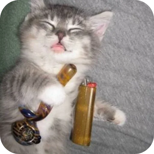 Стикер AaYEbbj_by_achestickbot - 1