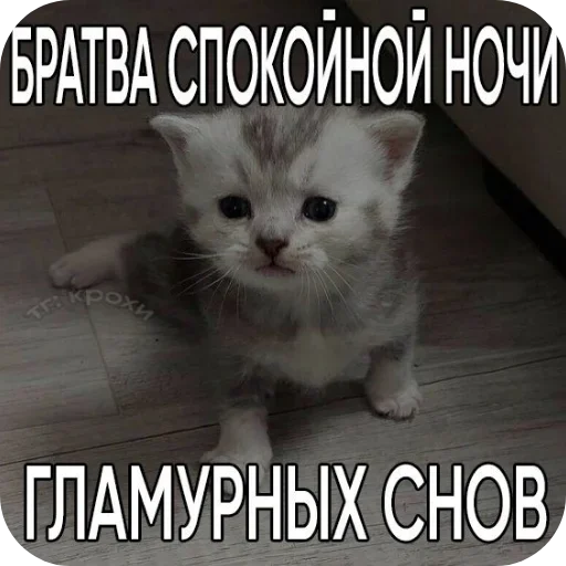 Стикер AaYEbbj_by_achestickbot - 1