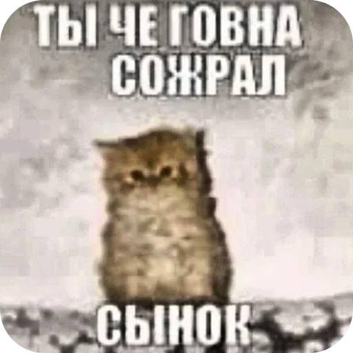 Стикер AaYEbbj_by_achestickbot - 1