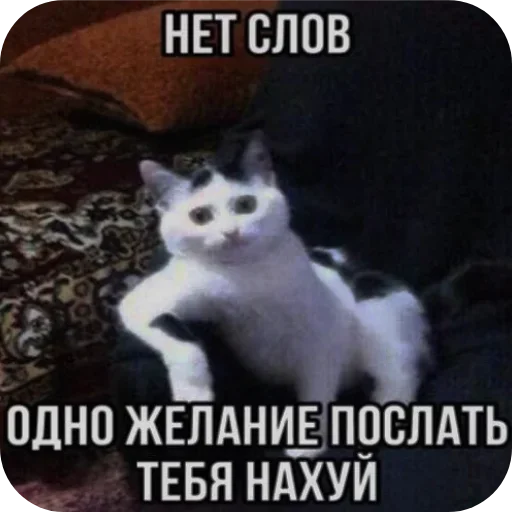 Больше стиков тут: @stikery4 - 