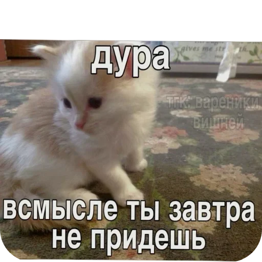 Sticker AaYEbbj_by_achestickbot - 1