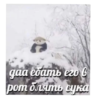 Sticker Больше стиков тут: @stikery4 - 10