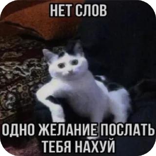 Sticker Больше стиков тут: @stikery4 - 8