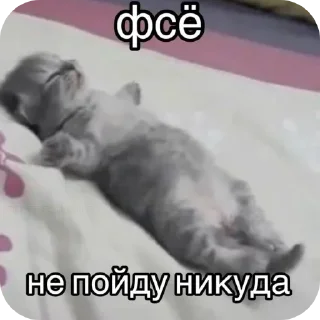 Sticker Больше стиков тут: @stikery4 - 2