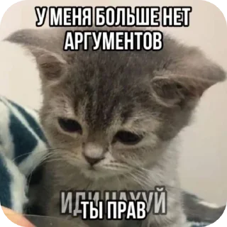 Sticker Больше стиков тут: @stikery4 - 1