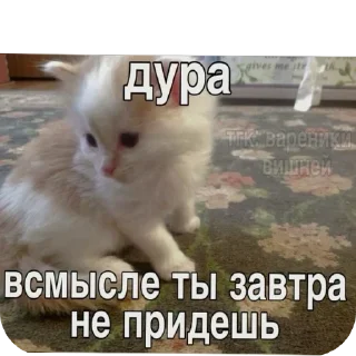 Sticker Больше стиков тут: @stikery4 - 4