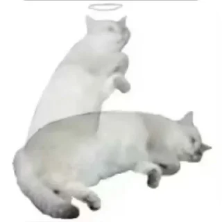 Sticker Больше стиков тут: @stikery4 - 11