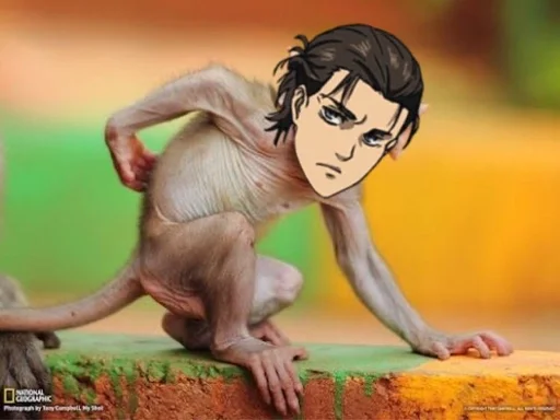 Эрен пассив :: @fStikBot - человеческое лицо