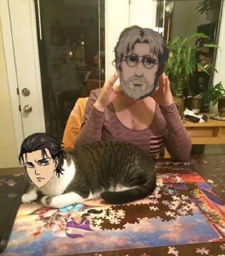 человеческое лицо кошка комнатный