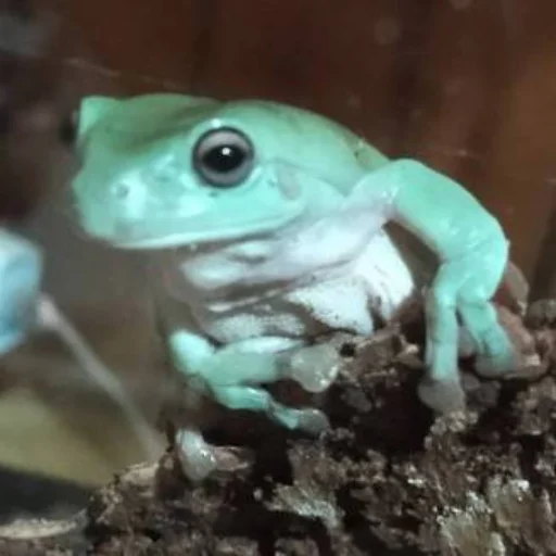 Sticker Ахуеть что за хуйня - 7