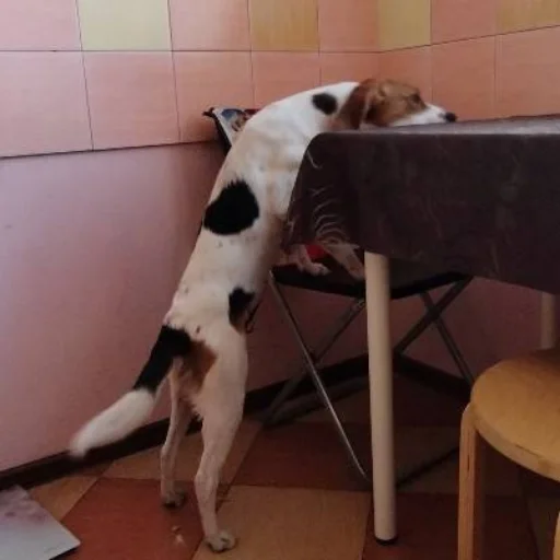 Sticker Ахуеть что за хуйня - 6