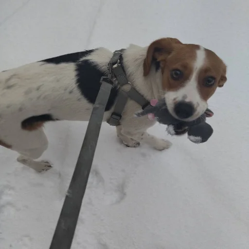 Sticker Ахуеть что за хуйня - 5