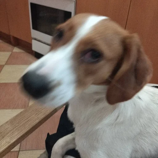 Sticker Ахуеть что за хуйня - 3