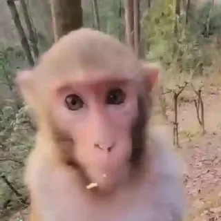 Стикер Joaquín..~ - 2