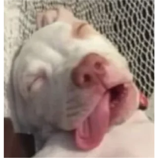 Стикер Joaquín..~ - 11