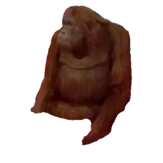 Sticker АВОВА - 1