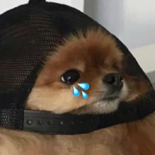 Стикер Abisnite - 4