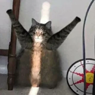 Стикер Abisnite - 1