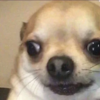 Стикер Abisnite - 0