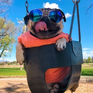 Стикер Abisnite - 5