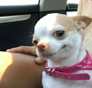 Стикер Abisnite - 10