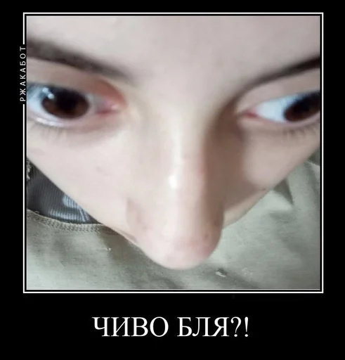 ресница бровь Макросъемка