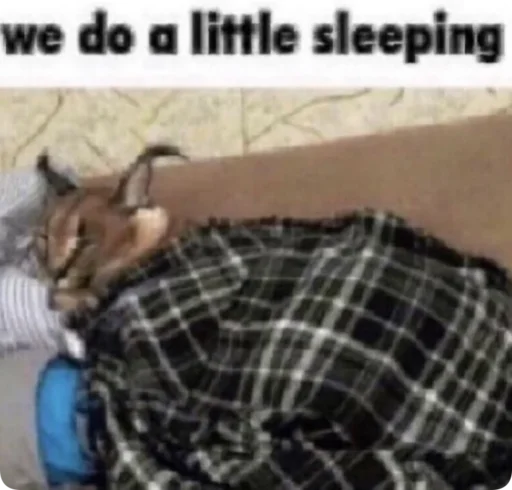 Sticker Absolute_Silliness - 1