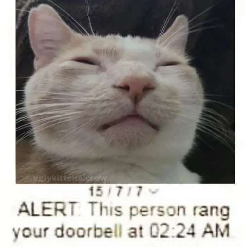 Sticker Absolute_Silliness - 1