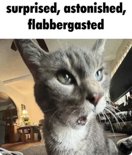 Sticker Absolute_Silliness - 1