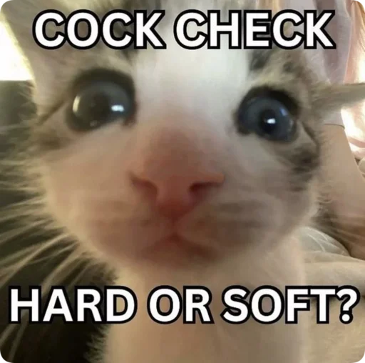 Sticker Absolute_Silliness - 1