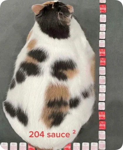 Sticker Absolute_Silliness - 1