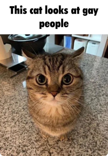 Sticker Absolute_Silliness - 1