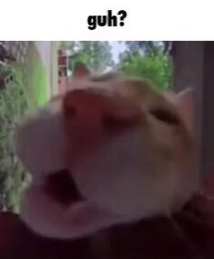 Sticker Absolute_Silliness - 1