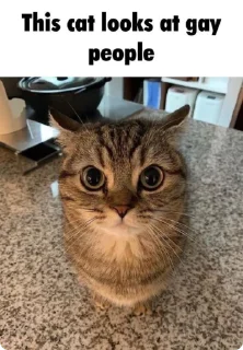 Стикер Absolute Silliness - 2