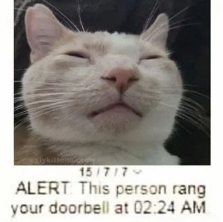 Стикер Absolute Silliness - 7