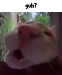 Стикер Absolute Silliness - 1