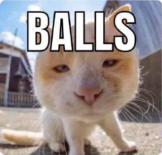 Стикер Absolute Silliness - 10