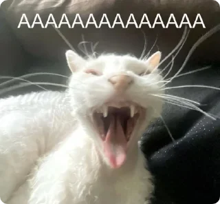 Стикер Absolute Silliness - 8