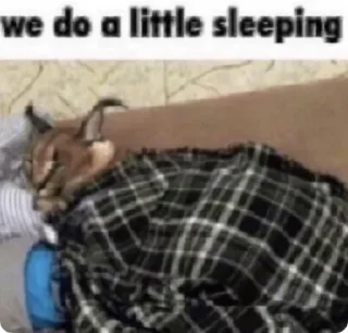 Стикер Absolute Silliness - 11