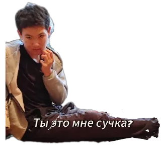 Стикер Абсолюты - 9