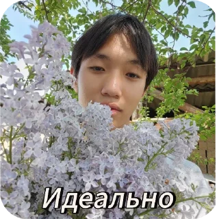 Стикер Абсолюты - 0