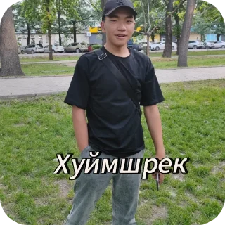 Стикер Абсолюты - 10