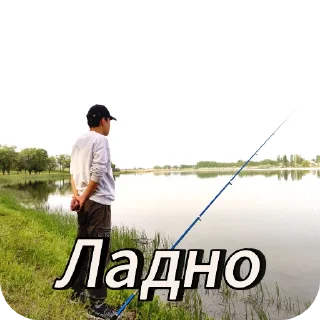 Стикер Абсолюты - 6