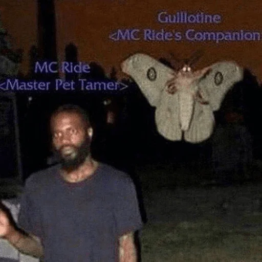 person butterfly animal