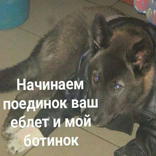 Стикер AbuseTheTruth2 - 1