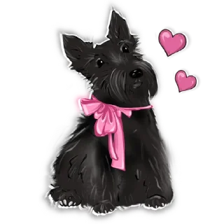 Стикер The Lady @AcademLady - 1